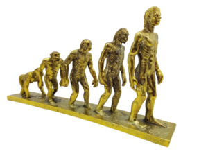 Η εξέλιξη του ανθρώπου - Human evolution (gold, resin, (32,5X15X5,5cm)