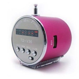 Mini MP3 Player - Fm Radio Aluminum Speaker Purple TDV-26