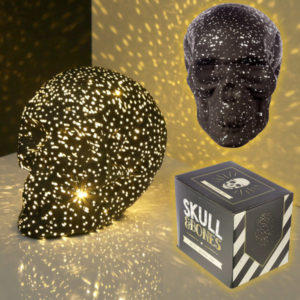 Decorative LED Light - Black Skull