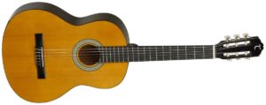 Tanglewood DBT 44 Discovery