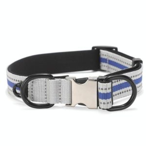 Dog Reflective Nylon Collar, Specification: L(Silver buckle blue) (OEM)