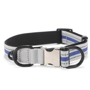 Dog Reflective Nylon Collar, Specification: M(Silver buckle blue) (OEM)