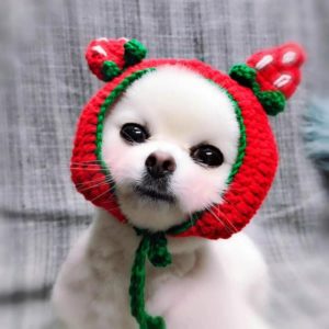 Cute Strawberry Headgear Handmade Knitted Hat Pet Accessories, Size: S (OEM)