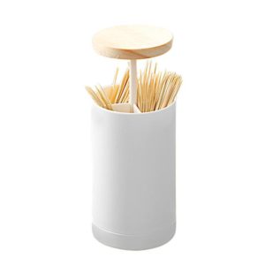 Dual-Purpose Toothpick Cotton Swab Storage Box Household Automatic Push-Type Portable Storage Box (OEM)