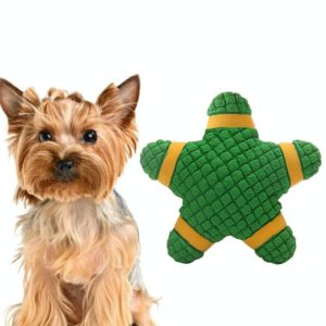 Dog Vocal Toy Latex Molar Bite Resistant Dog Bite Toy, Specification: Starfish (Green) (OEM)