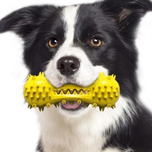 Sounding Dumbbell Dog Toy Molar Stick Resistant Biting Bone Toothbrush Pet Supplies(Yellow) (OEM)