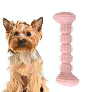 Pet TPR Molar Toy Chew Dog Toothbrush Toy Clean Teeth Molar Tease Dog Stick(Pink) (OEM)