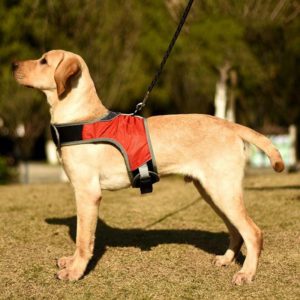 K-Shaped Luminous LED Harness for Pet Dogs without Rope, Size:XL(Wine Red Without Light) (OEM)
