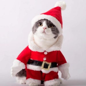 Pet Three-Dimensional Christmas Suit, Size: M (OEM)
