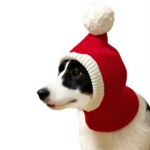 Pet Autumn & Winter Woolen Christmas Hat, Size: L (OEM)