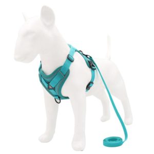 HT-864 Pet Traction Rope Reflective Breathable Dog Chest Strap Vest, Size: L(Lake Blue) (OEM)