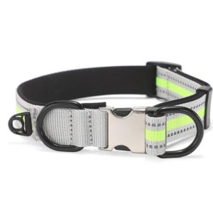 Dog Reflective Nylon Collar, Specification: M(Silver buckle green) (OEM)
