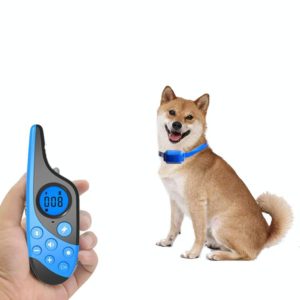 L-818 500M Dog Training Device Rechargeable Remote Control Pet Bark Stopper (OEM)