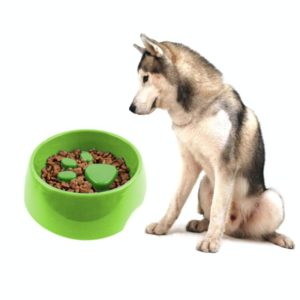 Anti-choking Pet Bowl Slow Food Dog Print Food Bowl, Size:22x17.5x7cm(Green) (OEM)