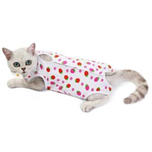 Female Cat Breathable And Anti-Licking Sterilization Clothing, Size: M(Strawberry) (OEM)