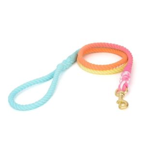 Gradient Dyed Woven Cotton Rope Pet Collar Neck Sleeve Leash(Rainbow Color) (OEM)