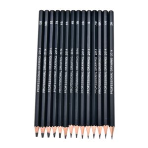 Graphite Sketching Pencils Set for Drawing (OEM)