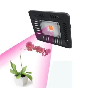 50W Ultra-Thin LED Plant Light, Full Spectrum COB Growth Light, Vegetable, Fruit & Flower Greenhouse Fill Light Without Plug (OEM)