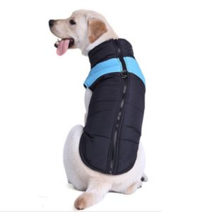 Pet Dog Cotton Vest Ski Suit, Size: L, Chest: 46cm, Back Length: 35cm(Blue) (OEM)