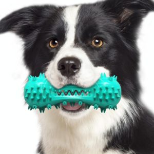 Sounding Dumbbell Dog Toy Molar Stick Resistant Biting Bone Toothbrush Pet Supplies(Lake Blue) (OEM)