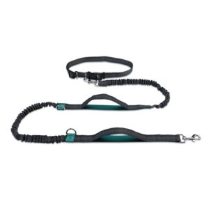 Running Reflective Double Telescopic Dog Rope Dog Chain Traction(Water Green) (OEM)