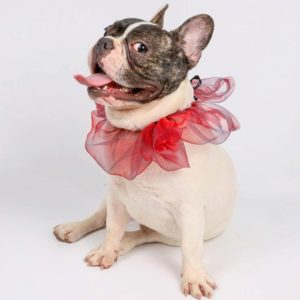 Pet Scarf Halloween Christmas Dress Up Dream Triangle Scarf, Size: Dog L(Red) (OEM)