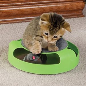 Pet Supplies Cat Plastic Catch the Mouse Interactive Turntable Pet Toys (OEM)