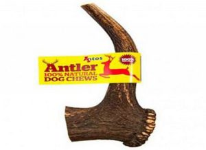 Antler Κέρατο Ελαφιού Antler Dog Chews Jumbo - (311 - 427gr) για γιγαντόσωμες φυλές ή πάρα πολύ δυνατούς μασητές 300gr