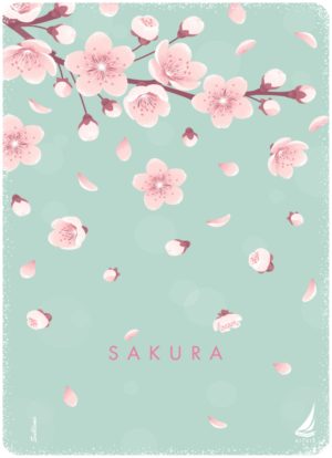 Αιγαίο Τετράδιο Σπιράλ Sakura Α4 1 θέμα