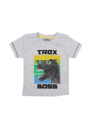 Παιδική Κοντομάνικη Μπλούζα Για Αγόρι 01-21023 - ΓΚΡΙ