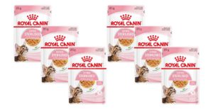 Φακελάκι Royal Canin Kitten Sterilised Jelly για Γατάκια με Ψιλοκομμένες Φέτες σε Ζελέ Economy Pack 6 Τεμ. x 85gr