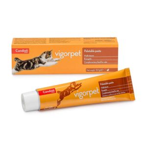 Candioli Vigorpet Palatable Paste For Cats Συμπλήρωμα Βιταμινών και Αμινοξέων για την Υποστήριξη του Οργανισμού της Γάτας - 50gr
