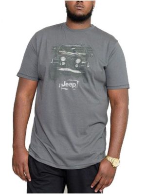 DUKE Ανδρικό γκρί κοντομάνικo Tshirt SOMERTON D555 Khaki (έως 7XL), Χρώμα Γκρί, Μέγεθος 6XL