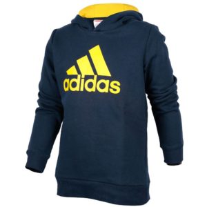 Adidas Youth Essentials Logo Hoodie (AY8247)