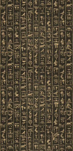 Apu Outdoor Scarf Hieroglyphs