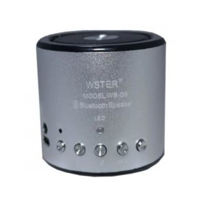 OEM Portable Mini Bluetooth Speaker WS-Q9