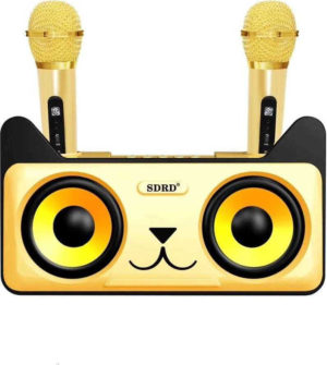 Συσκευή Karaoke με 2 Ασύρματα Μικρόφωνα & Bluetooth SDRD SD-305 - Χρυσό