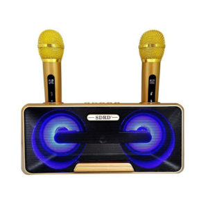 Σύστημα Karaoke με Ασύρματα Μικρόφωνα SD-301 Χρυσό