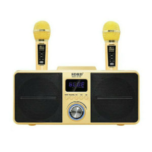 Σύστημα Karaoke με Ασύρματα Μικρόφωνα SD309 σε Κίτρινο Χρώμα