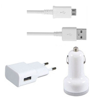 Set car charger and network charger 3 in 1 DT Travel 12/220v 5v/2A Universal, with cable Micro USB - 14263