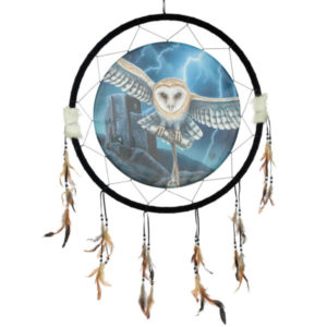 Decorative Heart of the Storm Owl Design Dreamcatcher Large