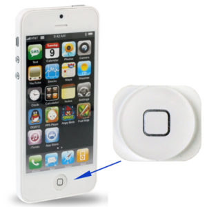 Home Button for iPhone 5 (White)