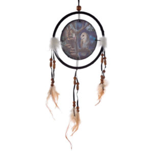 Lisa Parker Fairy Tales Owl and Fairy Dreamcatcher Small