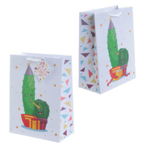Fun Cactus Design Medium Glossy Gift Bag