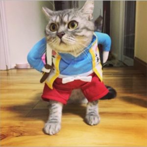Funny Cat Dog Costume Uniform Suit Cat Clothes Costume Puppy Clothes Dressing Up Suit Party Clothing for Cat Cosplay Clothes, Size:M(Samurai Knife) (OEM)