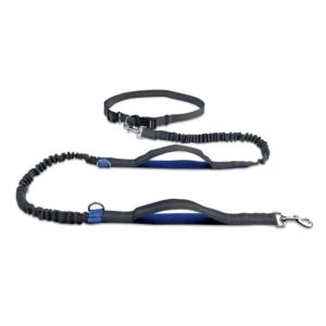 Running Reflective Double Telescopic Dog Rope Dog Chain Traction(Royal Blue) (OEM)