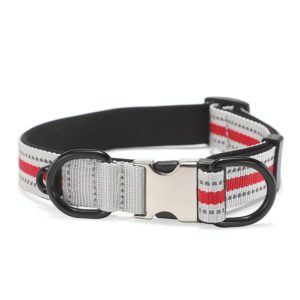 Dog Reflective Nylon Collar, Specification: S(Silver buckle red) (OEM)