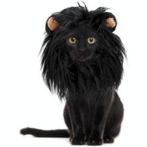 Pet Dog Cat Imitation Lion Headgear Headdress Wig Hat, Size: S (OEM)