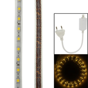 Casing Waterproof Rope Light, Length: 1m, Warm White Light with Controller, 60LED/m, AC 220V (OEM)