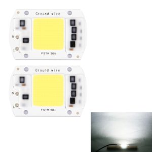 2 PCS 100W 2800-6000K High Power Brightness COB Chips LED Light Beads, AC 220V (White Light) (OEM)